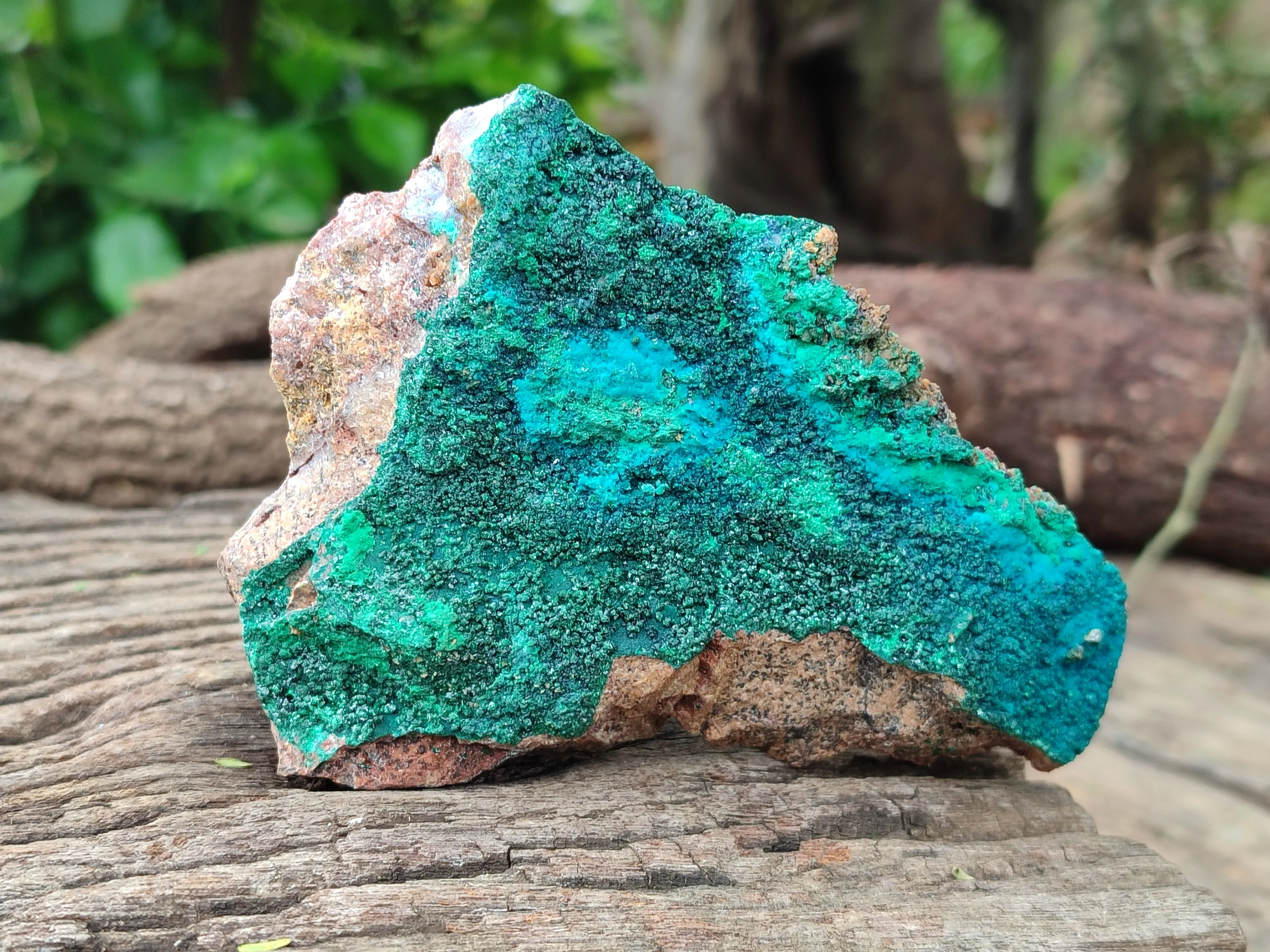 Natural Malachite With Chrysocolla Matrix Specimens x 2 From Congo