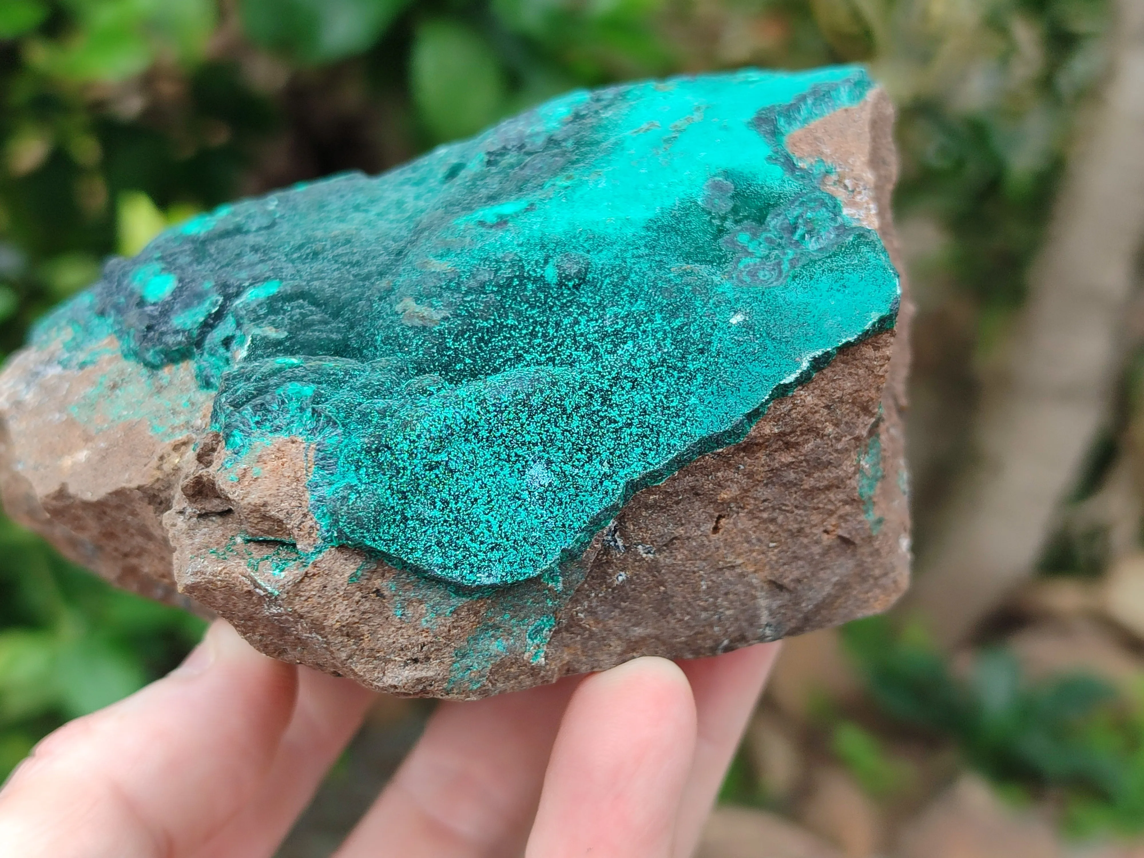 Natural Malachite With Chrysocolla Matrix Specimens x 2 From Congo