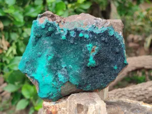 Natural Malachite With Chrysocolla Matrix Specimens x 2 From Congo
