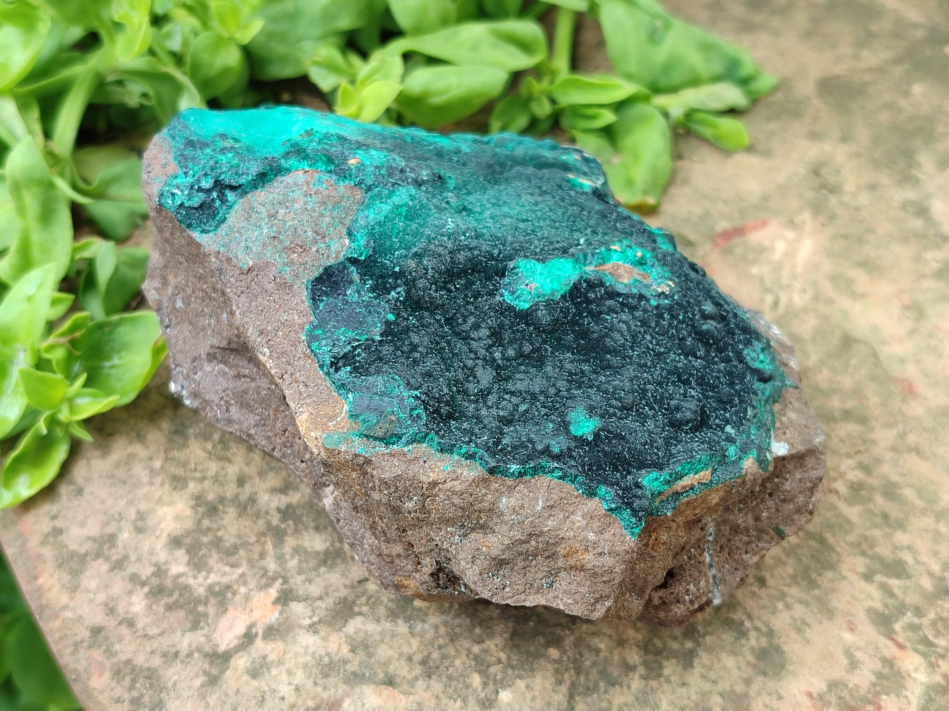 Natural Malachite With Chrysocolla Matrix Specimens x 2 From Congo