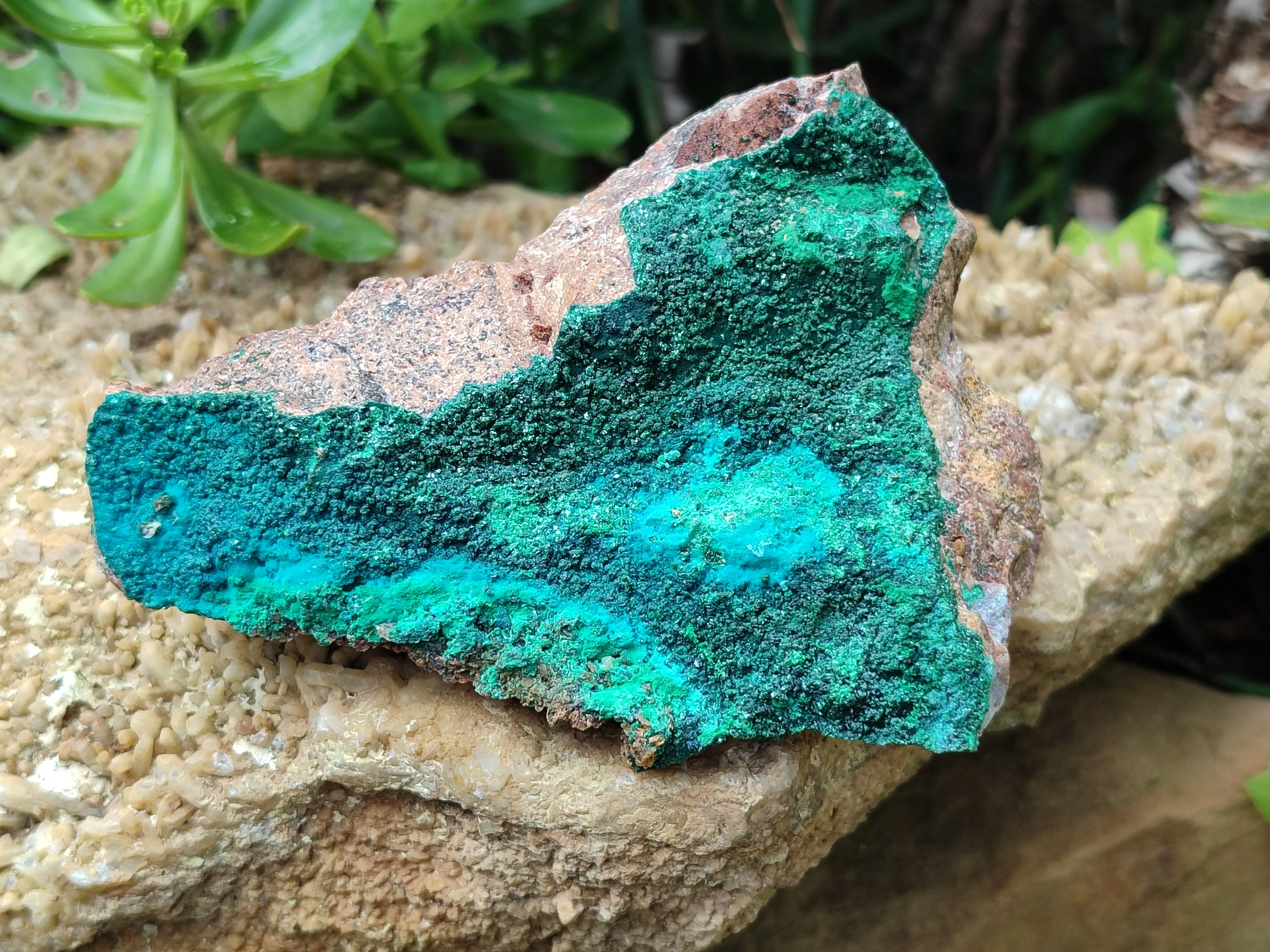 Natural Malachite With Chrysocolla Matrix Specimens x 2 From Congo